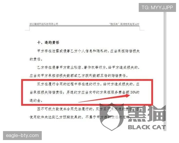 比赛申诉的关键时限与裁判判罚复核流程