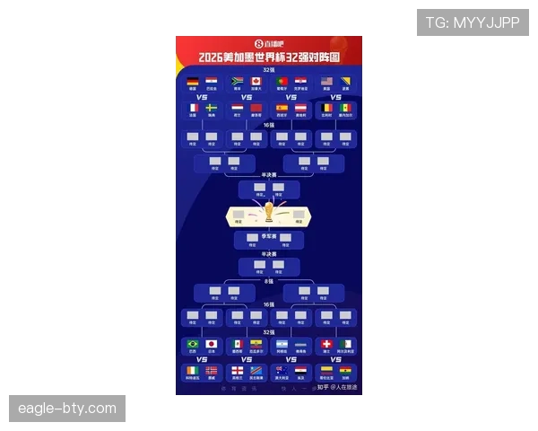 2026世界杯D组完整赛果：6场小组赛信息整理